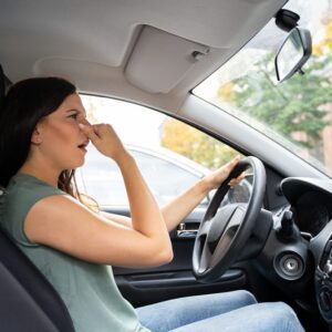 Car Odor Removal Service