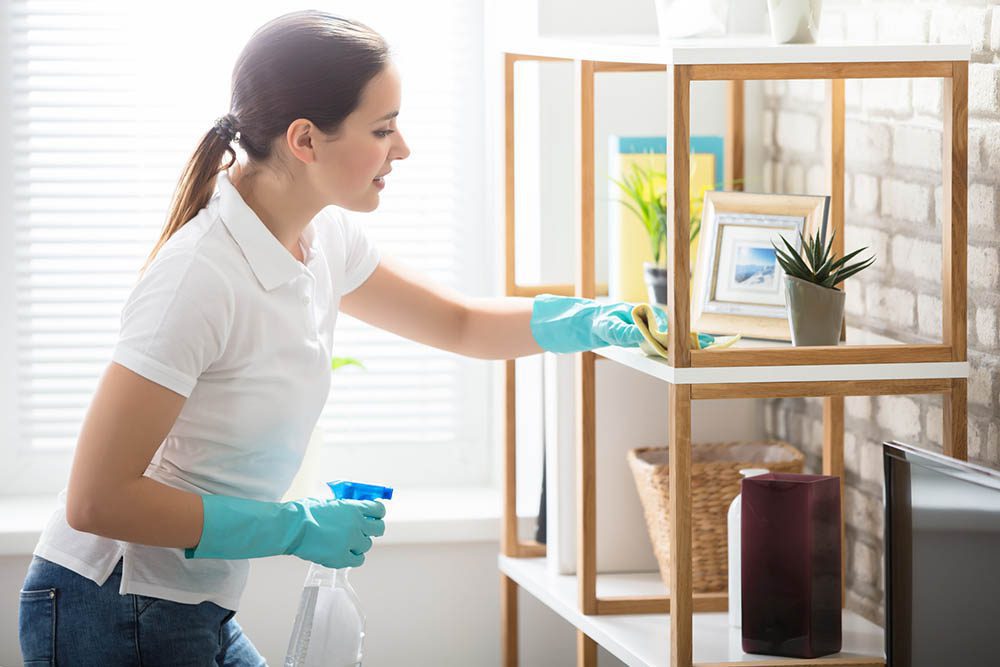 House Sanitizing Services