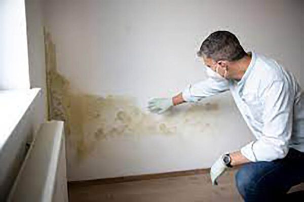 Mould Removal Dubai