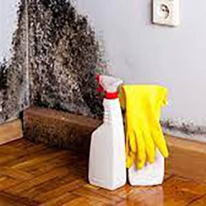 Mould Removal Dubai