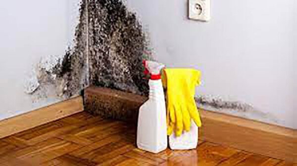 Mould Removal Dubai