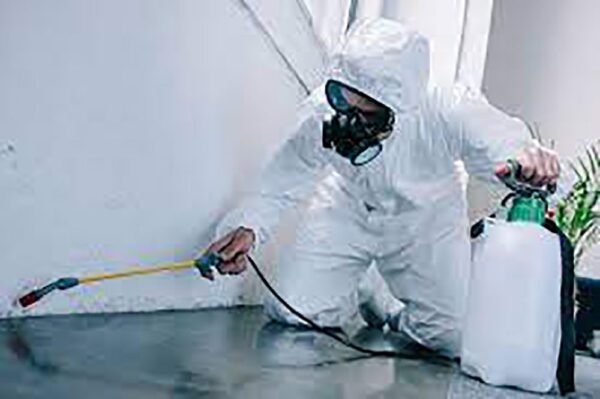 Pest Control And Cleaning Services Dubai