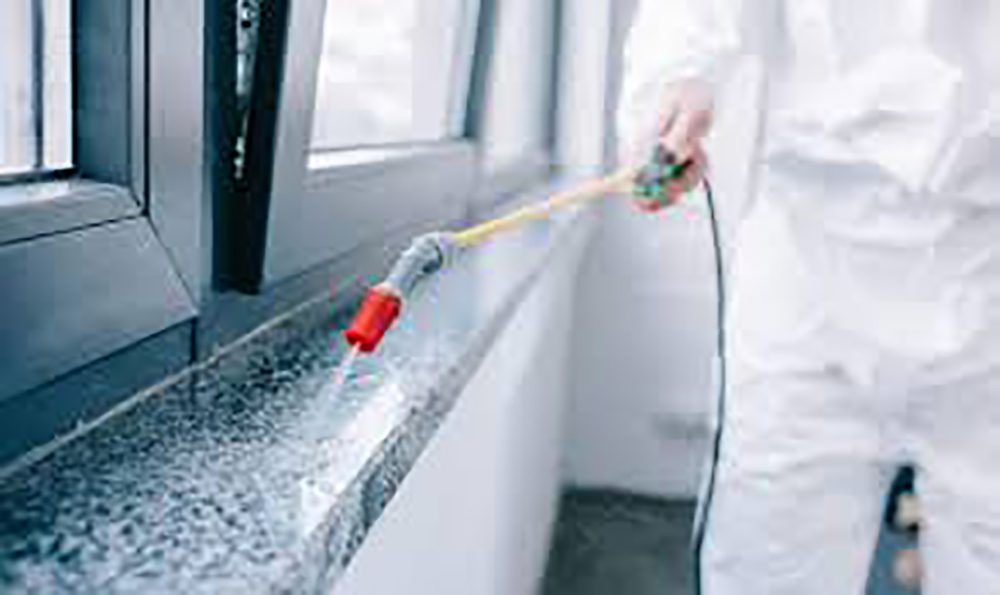 Pest Control And Cleaning Services Dubai