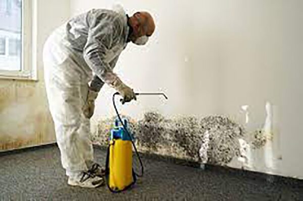 Dubai Professional Mold Remediation