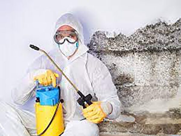 Dubai Professional Mold Remediation